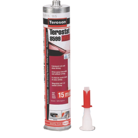 TEROSTAT 8599 310 ML
